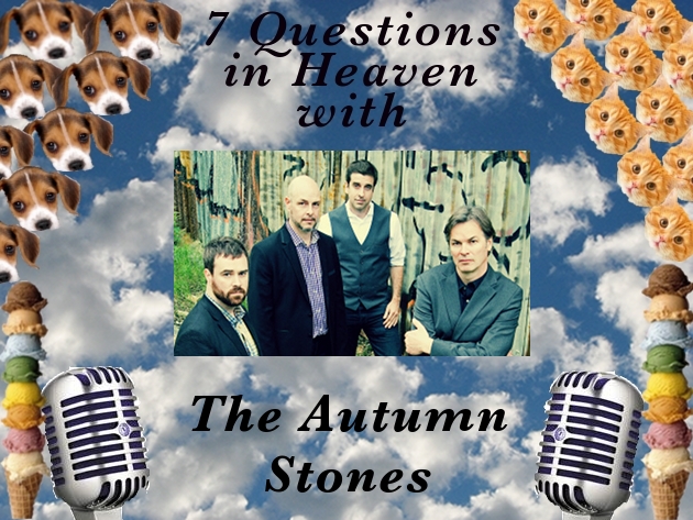 7 Questions Autumn Stones