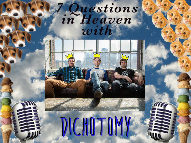 7 Questions Dichotomy